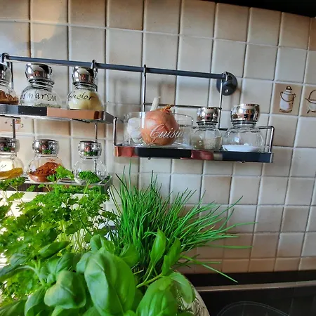 Gast Im Gruenen Casa Weige * Hamm (North Rhine-Westphalia)